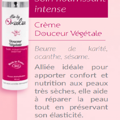 Creme douceur vegetale