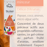 Delice d ananas 3